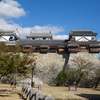 【愛媛】姫路城に匹敵！連立式巨大城郭 松山城・後編