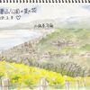 スケッチ練習 ～吾妻山公園の菜の花～