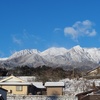 朝の雪景色。