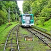 🚃御岳登山鉄道～ロックガーデン散策　その①