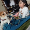 さきひめさまとご対面