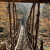 【日本三大秘境】徳島県 大歩危・祖谷渓温泉・祖谷のかずら橋（2021年11月中旬）