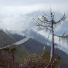 ブータン王国 ⑭ 標高3988ｍ　チェレ・ラ