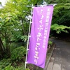 「花菖蒲」と「紫陽花」がきれい・Photo
