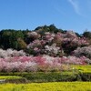 桃源郷へ来たよ～♪幸せです♡