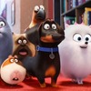 【映画】「ペット（The Secret Life of Pets）」(2016年) 観ました。（オススメ度★☆☆☆☆）