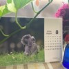 30数年ぶりに…失神