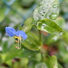 梅雨らしい一日だった