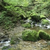 武蔵御嶽神社～御岳山～天狗岩～七代の滝～ロックガーデン～綾広の滝～天狗の腰掛杉～長尾平　ハイキング③