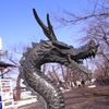須坂市：冬の動物園