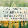 『表参道のセレブ犬とカバーニャ要塞の野良犬』ちょいちょい入ってくる哀愁ある表現がとても好きです