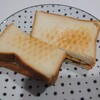 ついにこの季節がやって来た!!