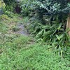 秋が来た