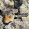 東ヌプカウシ山へ③（11月13日）