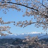 朝陽