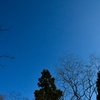 三辻の森山初めの遊山　冬青空