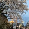 桜の咲く季節🌸