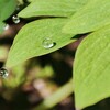 水晶玉がたくさん出現する✨🔮(*˘ー˘*)