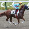 ２６日に美浦・手塚厩舎へ帰厩しています。☆アナンシエーション