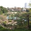 六義園　桜がきれいでしたよ～！