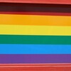 LGBTは確かに広い概念なのだけど、活動家は「LGBTすべて」の話を無理にしようとしなくてもいいのではないかな？という話