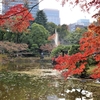 日比谷公園の紅葉