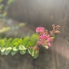 秋を迎える準備＊＊＊