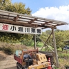 特製栗剥きマシーン！