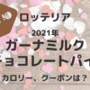 ロッテリアのガーナミルクチョコレートパイ2021のカロリーは？クーポンでお得に買える方法はある？