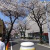 花見をしてから丸忠でレモンハイ