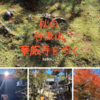 岐阜県 秋の【谷汲山　華厳寺】を紅葉を求め歩く