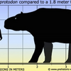 ザ・サンダーボルツ勝手連 ［Giant Wombats and Electrical Fossilization 巨大なウォンバットと電気的化石］