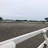 本日のアクティヴィティ 江戸川宝珠花橋まで往復107km