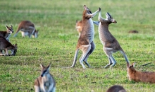 オーストラリア観光で外せない大自然10選！感動の絶景スポットを厳選紹介