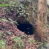 長柄横穴墓群(その7)  長柄町徳増