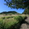 【倉木山】心地良い秋晴れの休日は家族で自然遊び