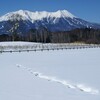 トンネルを抜けるとそこは雪国だった