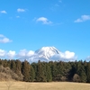 静岡(朝霧高原)・雪の富士山・1月29日