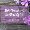 花の色によって効果が違う？色彩心理