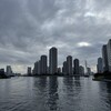 隅田川テラス8キロ：流石に昨日の疲れが残る体でゆっくり走る日曜日のお昼時