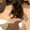 転勤を肯定的に振り返る