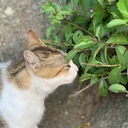 生き方を変えることにしたオヤジのブログ