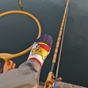 土曜日の椎の木湖！猛暑日なのでたくさん飲んでヘラブナ釣り！帰りは銀だこのたこ焼きだぜ！