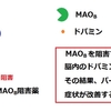 ラサジリンの作用機序・特徴