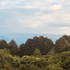 今朝の景色