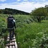 処暑の皿ヶ峰遊山　頂の森