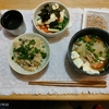 野菜味噌汁４日目。サバ缶ごはん。