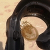 波の上ビーチで海の生き物観察・・・タコクラゲをみーつけた♬