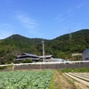 造田雲附山　トレッキング