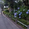がんばりどころのオレンジ🍊な月曜日